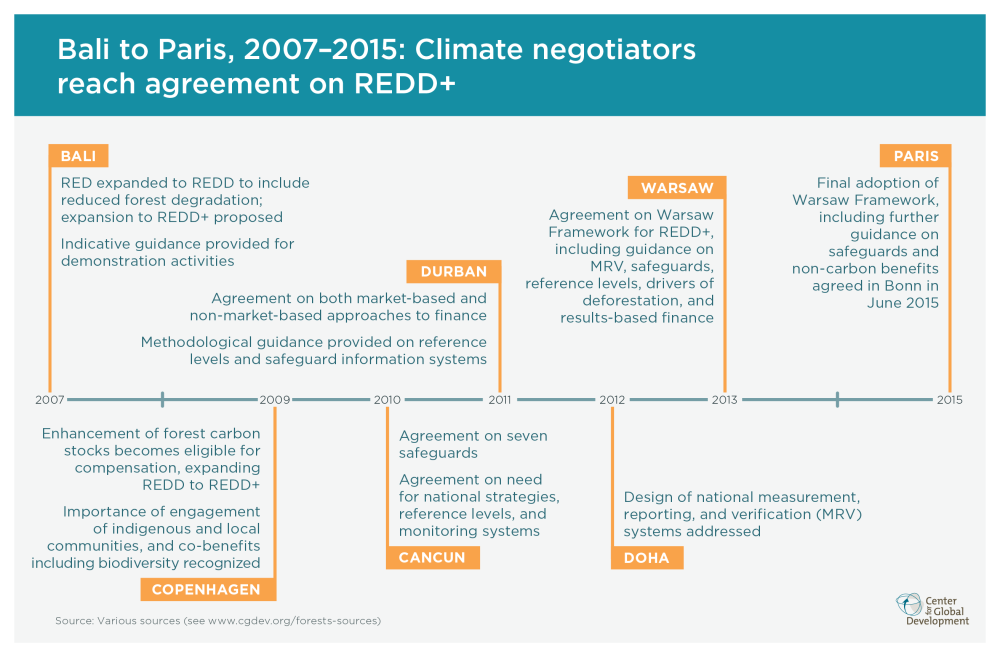 Climate negotiators reach agreement on REDD+ graphic