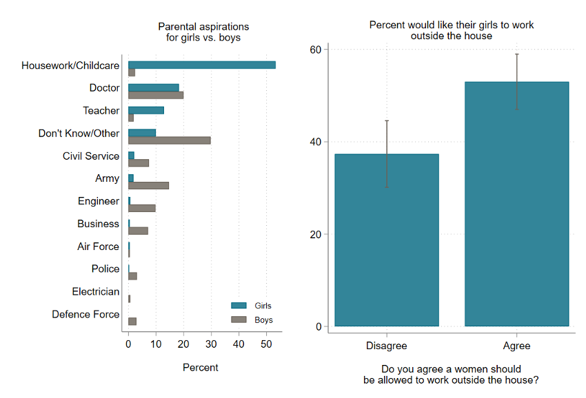 Chart showing parents aspirations for their children are less varied for girls than boys, concentrated mostly in housework, medicine, and teaching